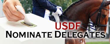 USDF FEI Jr-YR Clinic Series