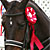 Horse Performance Certificate Application