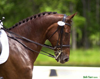 Double Bridle