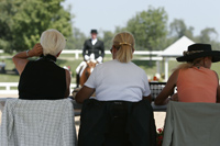 Judges View